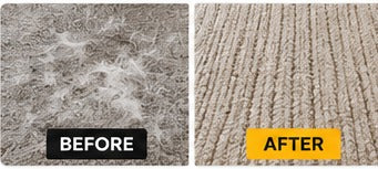 Carpet